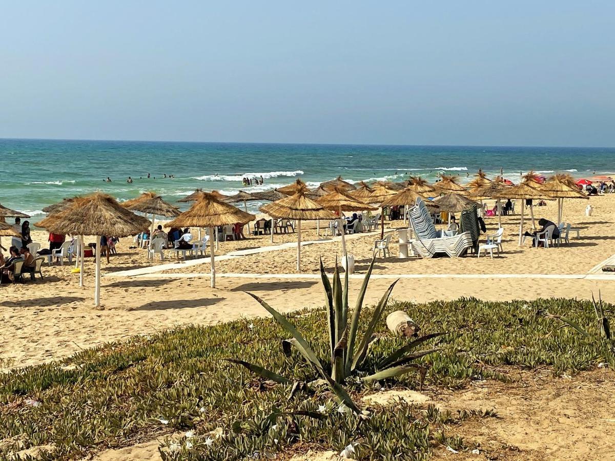 Roof Top Pied Dans L'Eau Panoramic View, 80 Meters From Seaside Apartment Hammamet Exterior photo